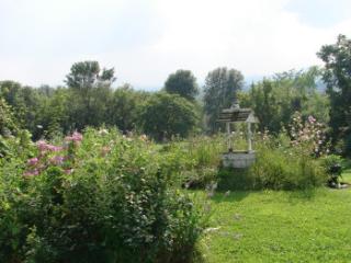 adirondack image north country garden