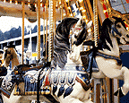 Museums, historical sites, rides, raceway, centers, adirodacks, parks, charters