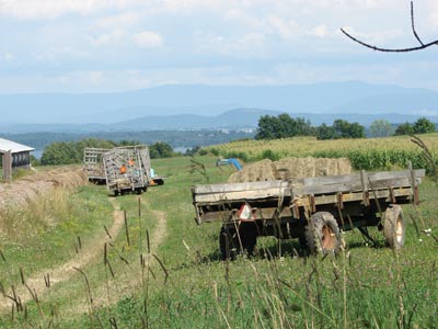 adirondack image haying